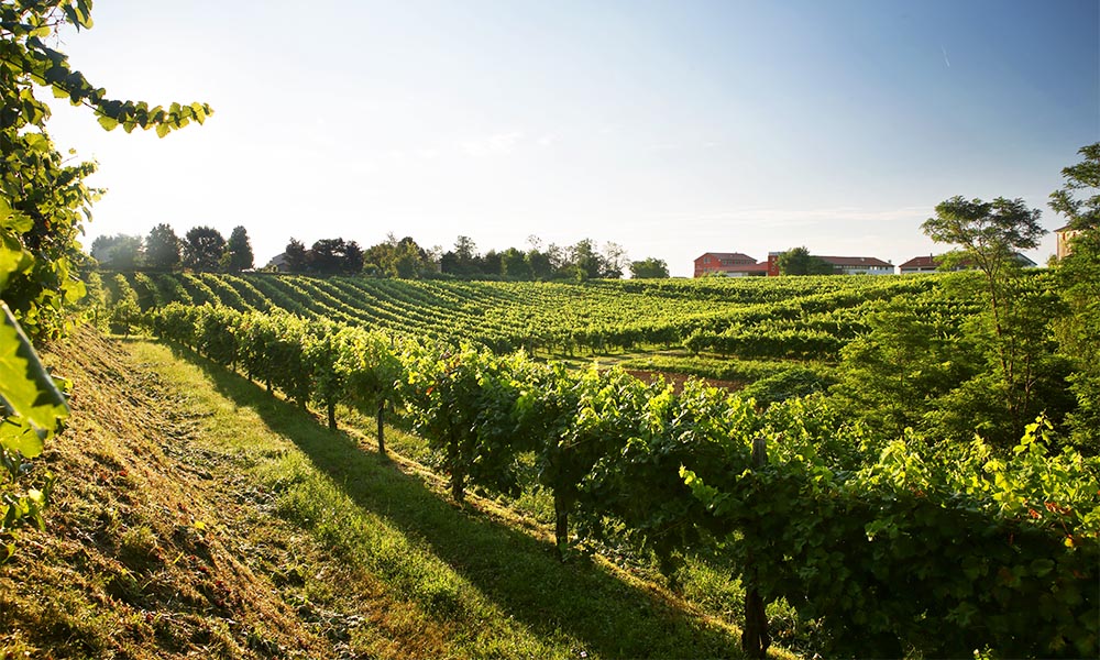 passion4travel_bus_tour_prosecco_venezia_1